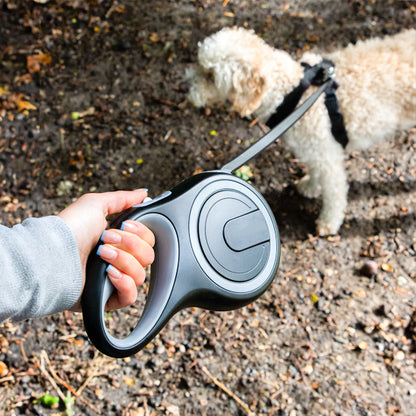 laisse enrouleur pour chien avec système rétractable automatique