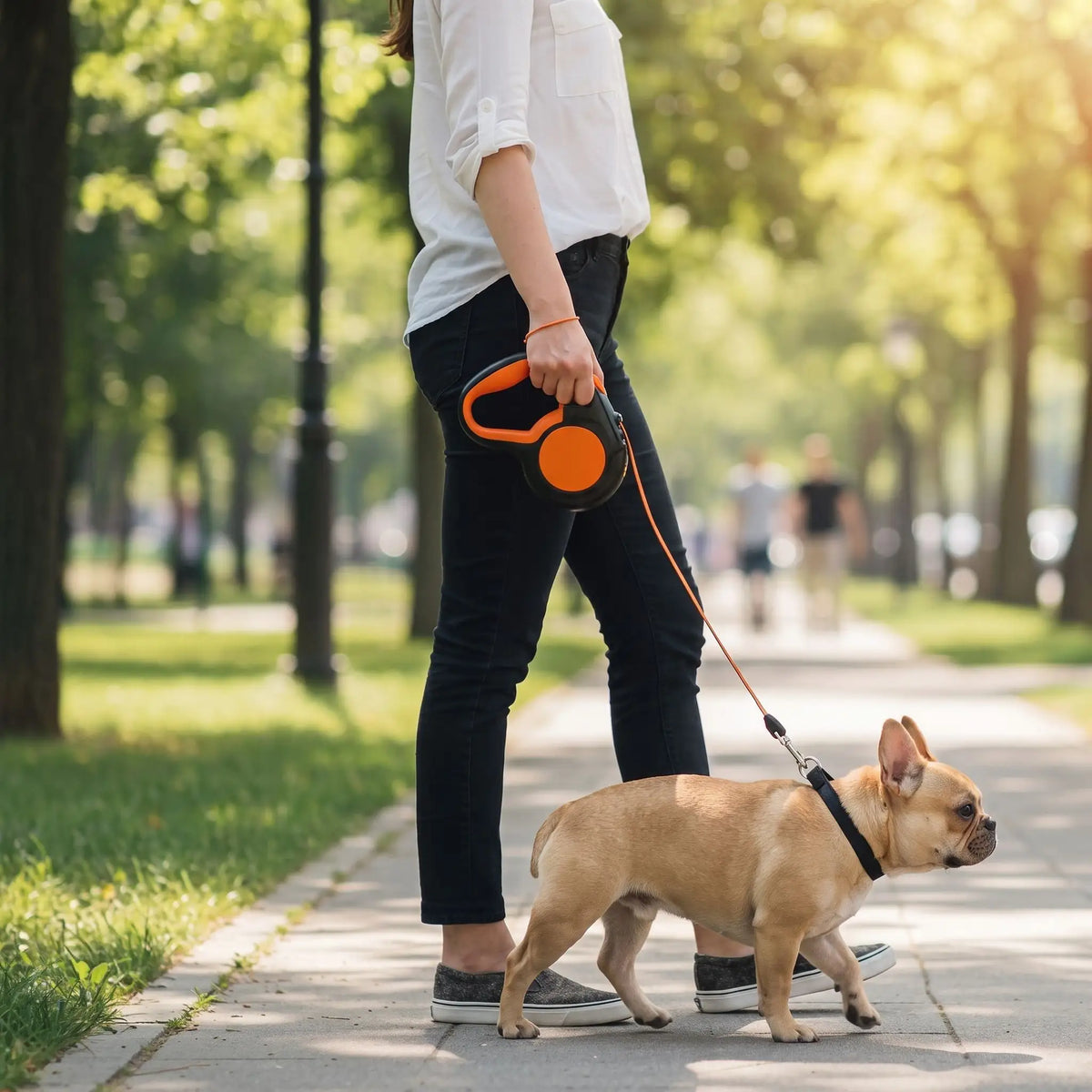 Laisse enrouleur pour Chien | Mécanisme Rétractable - Excursion Chien