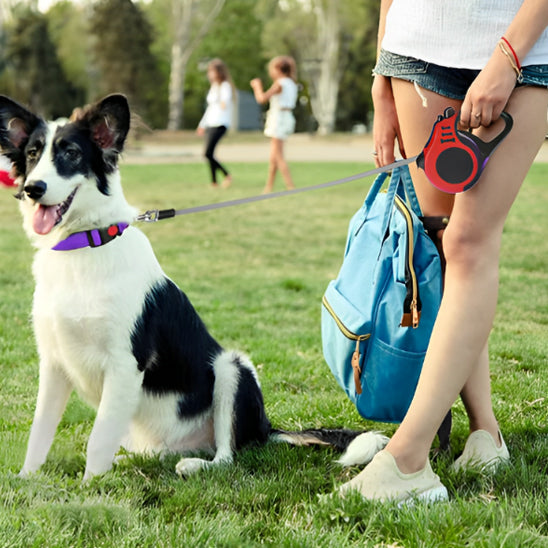 laisse enrouleur pour gros chien confortable