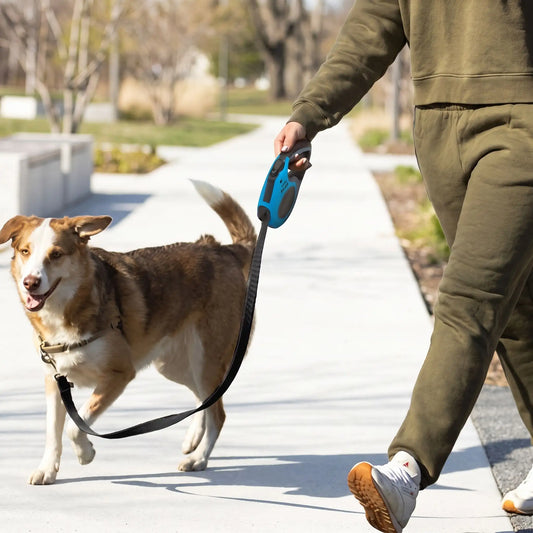 Laisse Enrouleur pour Gros Chien | Câble Nylon Renforcé - Excursion Chien