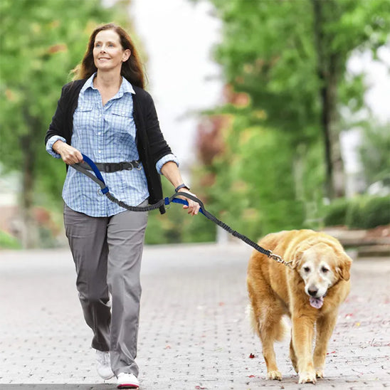 laisse main libre pour chien avec système mains libres