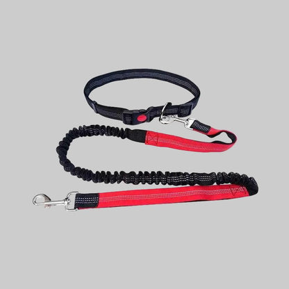 Laisse Mains Libres pour Chien | Élastique Antichoc - Excursion Chien