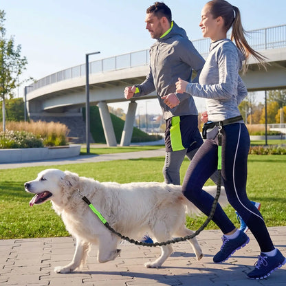 Laisse Mains Libres pour Chien | Élastique Antichoc - Excursion Chien