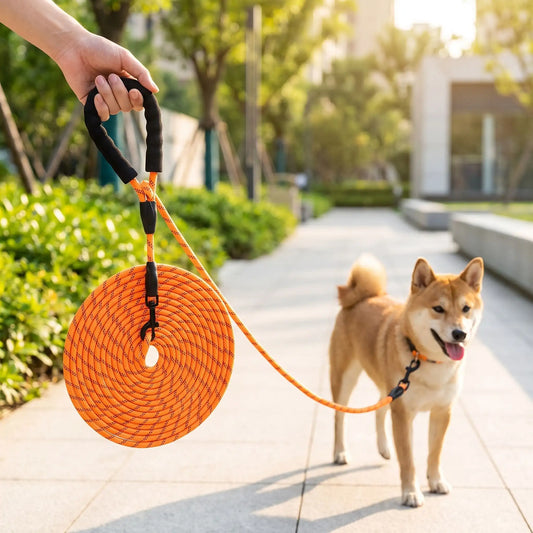 Laisse pour chien de dressage | Réfléchissante - Excursion Chien