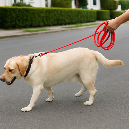laisse pour chien longue qui réduit la tension dans le bras