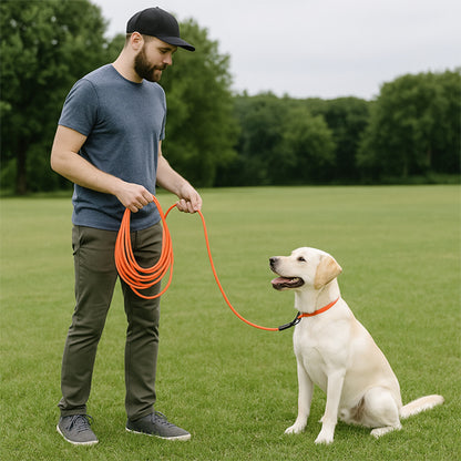 laisse pour chien longue qui s'adapte à toutes vos sorties