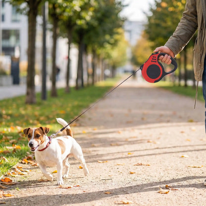 Laisse Pour Chien Rétractable | Liberté Contrôlée