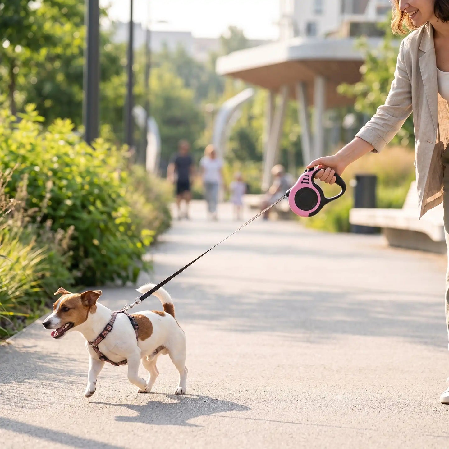 Laisse Pour Chien Rétractable | Liberté Contrôlée