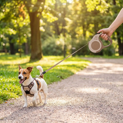 Laisse Pour Chien Rétractable | Liberté Contrôlée