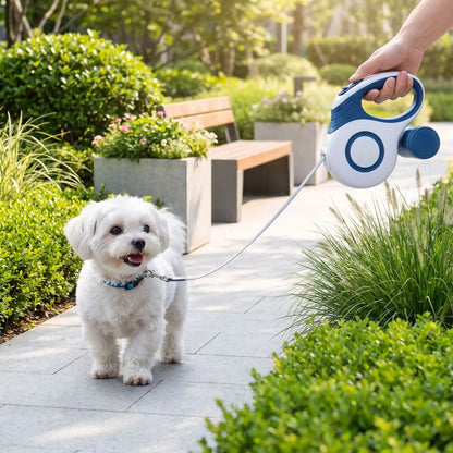 Laisse Rétractable Chien | Freinage Instantané