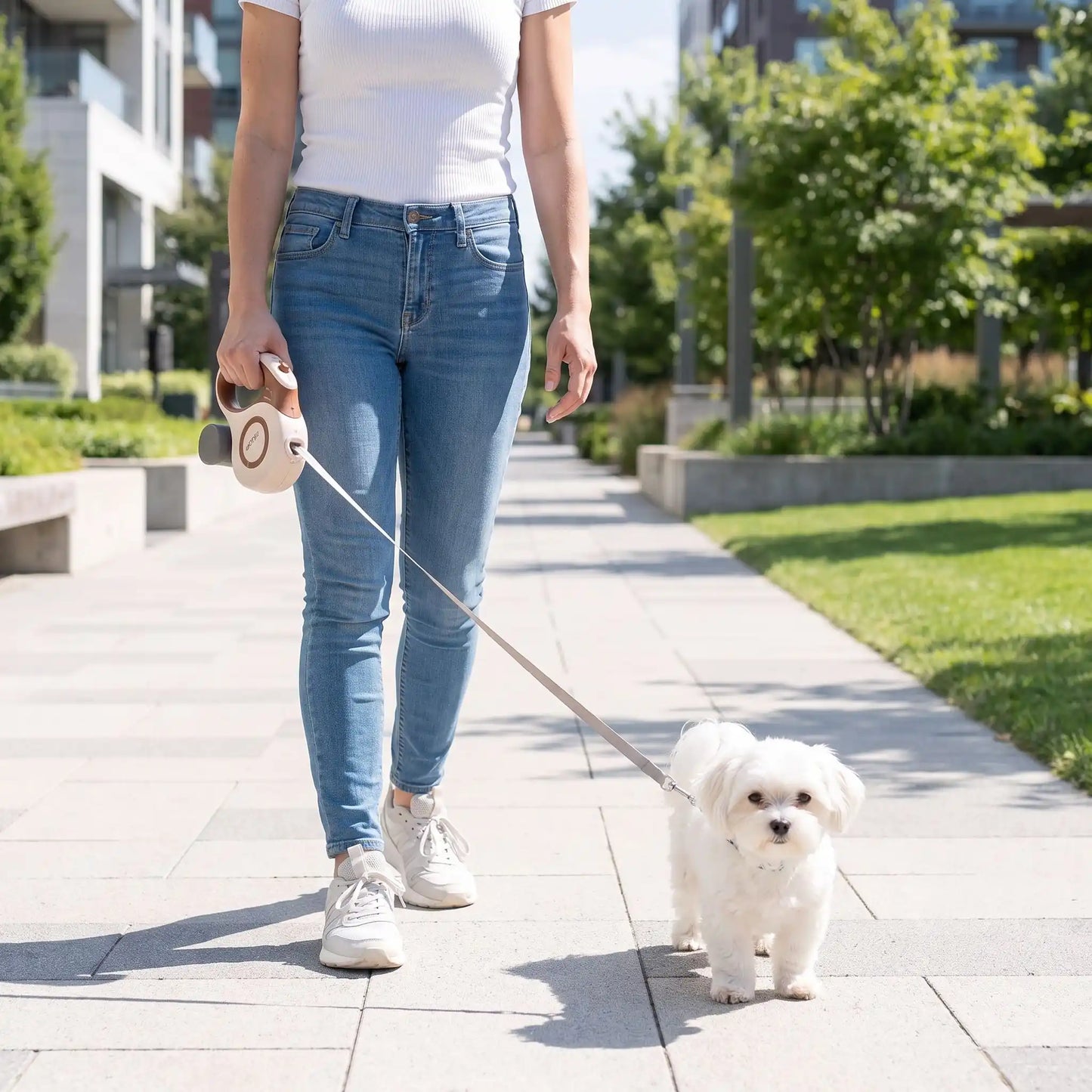 Laisse Rétractable Chien | Freinage Instantané