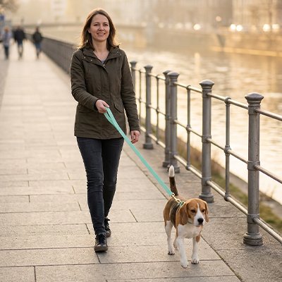 Longe pour Chien en format long permettant une liberté de mouvement tout en gardant le contrôle lors des promenades et séances d'éducation