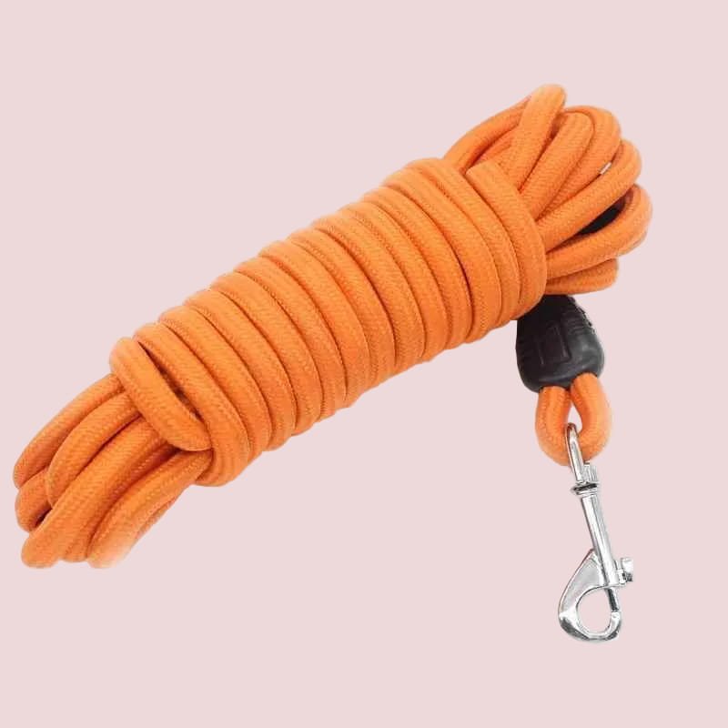 Longue Laisse Pour Chien | Ultra-résistante 5-15m - Excursion Chien