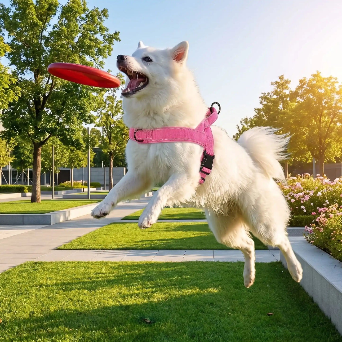 meilleur harnais pour chien en y confortable