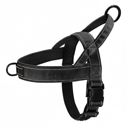 Meilleur Harnais Pour Chien en Y | Anti-Traction