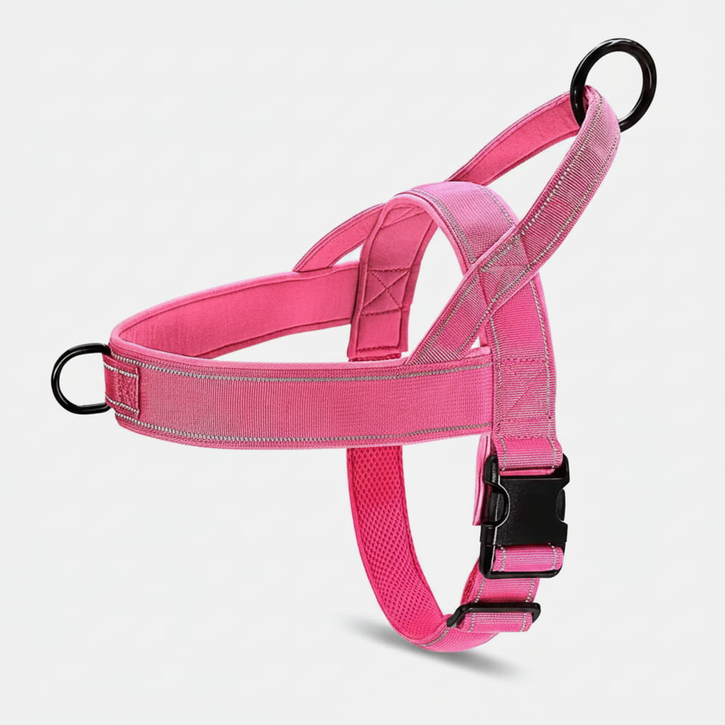 Meilleur Harnais Pour Chien en Y | Anti-Traction
