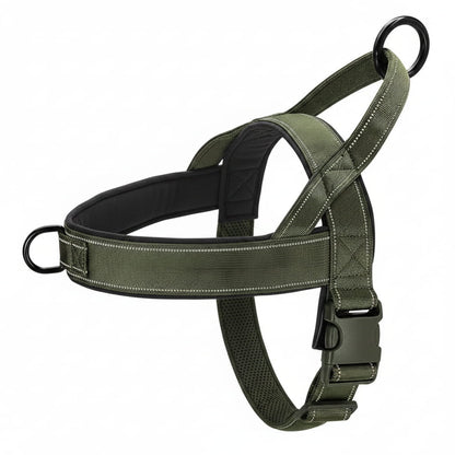 Meilleur Harnais Pour Chien en Y | Anti-Traction