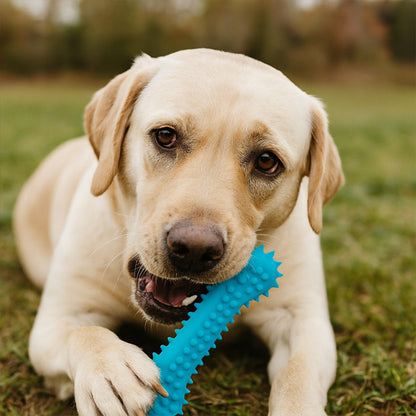 meilleur os à mâcher pour chien qui nettoie les dents