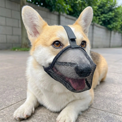 Muselière anti aboiement | AirGuard™️