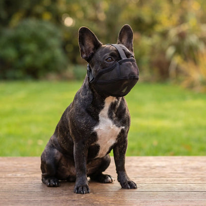 Muselière Bulldog | FreeBreath™️