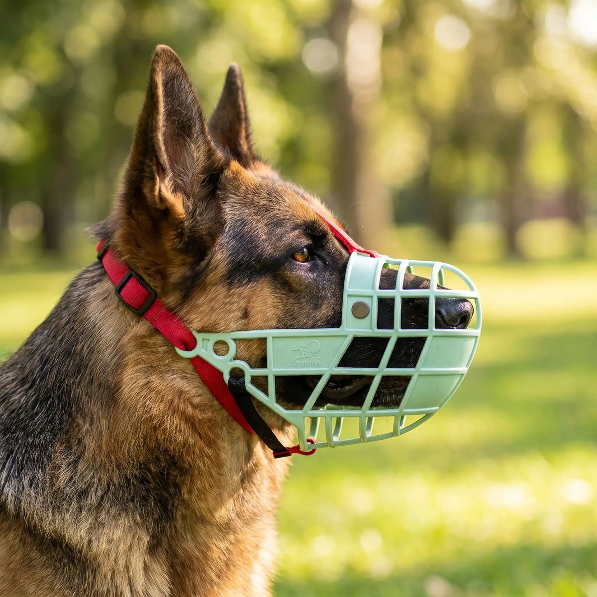 Muselière Cage Chien | TrustFit™️
