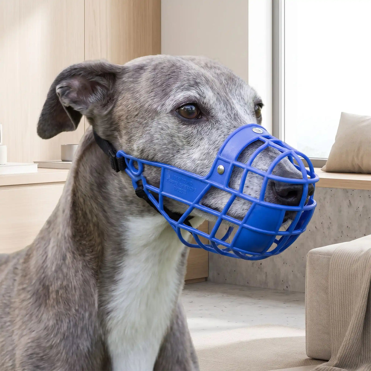 Muselière Cage Chien | TrustFit™️