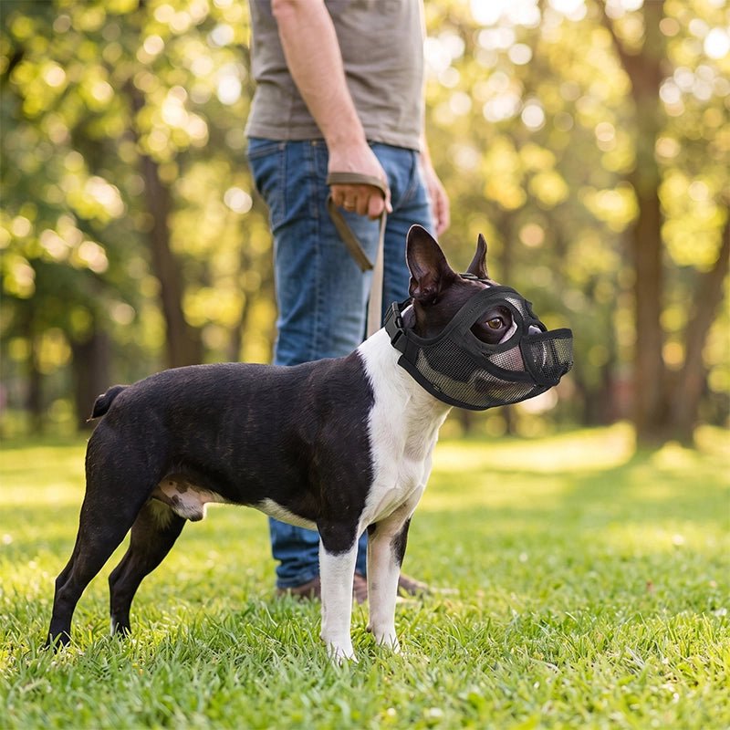Muselière chien anti morsure | Respira™️ - Excursion Chien