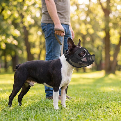 Muselière chien anti morsure | Respira™️ - Excursion Chien