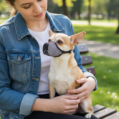 Museliere chihuahua | Respirante