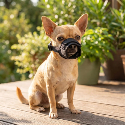 Muselière Petit Chien | CaniSafe™️