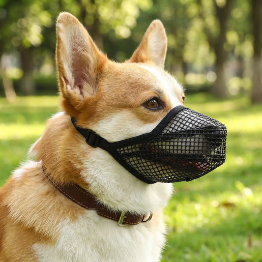 Muselière pour chien agressif | SereniPro - Excursion Chien