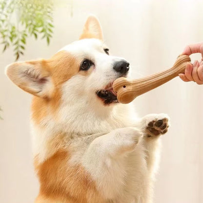 os pour chien indestructible robuste