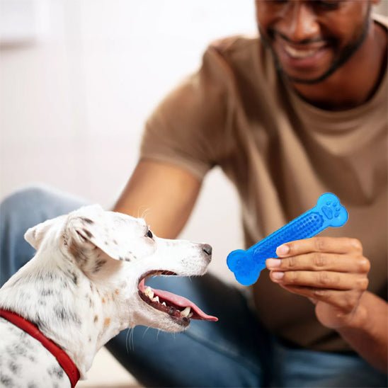 os pour chiot à surface texturé
