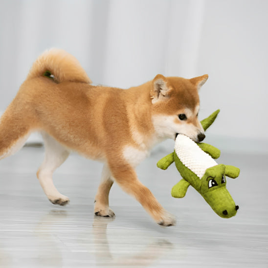 peluche Chien idéal pour canaliser l'énergie du Chien