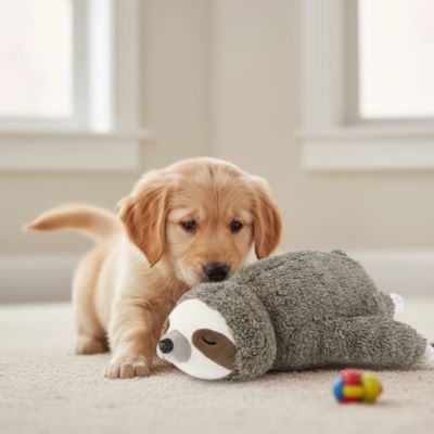 Peluche anti stress chien | Battements Apaisants - Excursion Chien