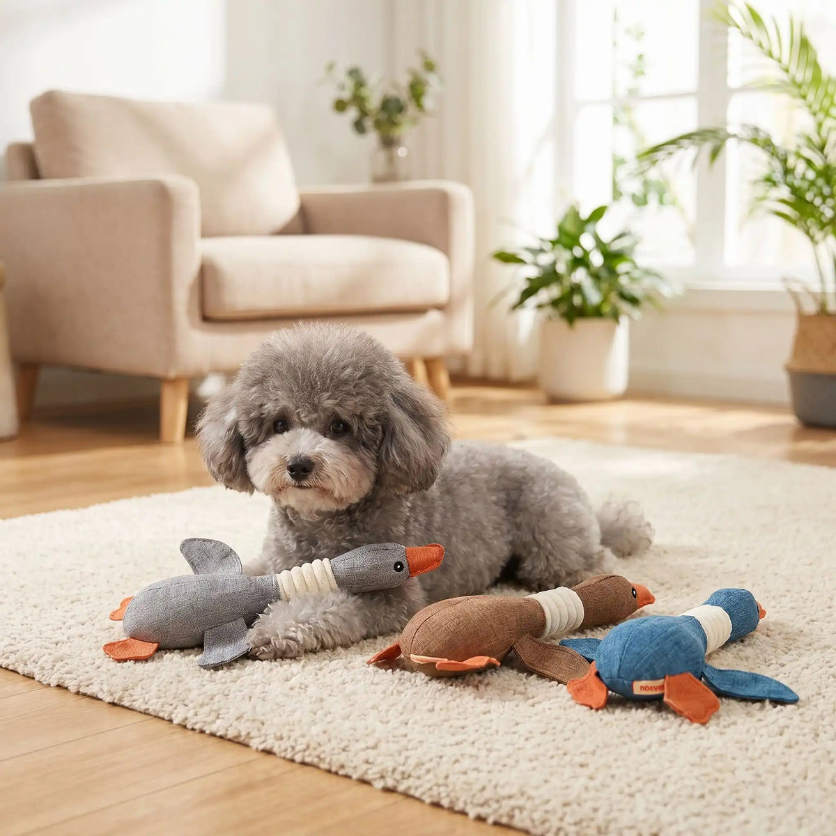 Peluche Canard Chien | Lin Naturel Résistant - Excursion Chien