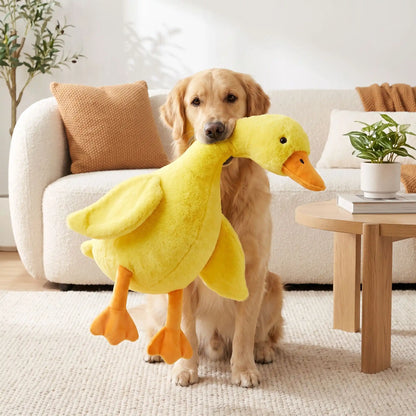 Peluche canard jaune pour chien | Ultra résistante 50cm