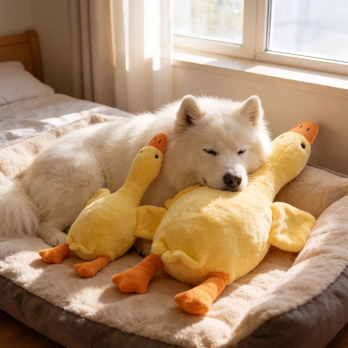 Peluche canard jaune pour chien | Ultra résistante 50cm