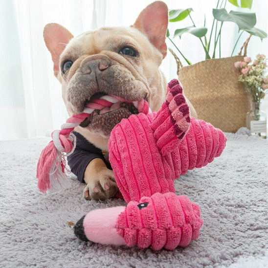 peluche chien qui éveille la curiosité naturelle de votre animal