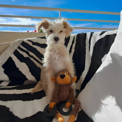 peluche pour chien anti stress adaptée à tous