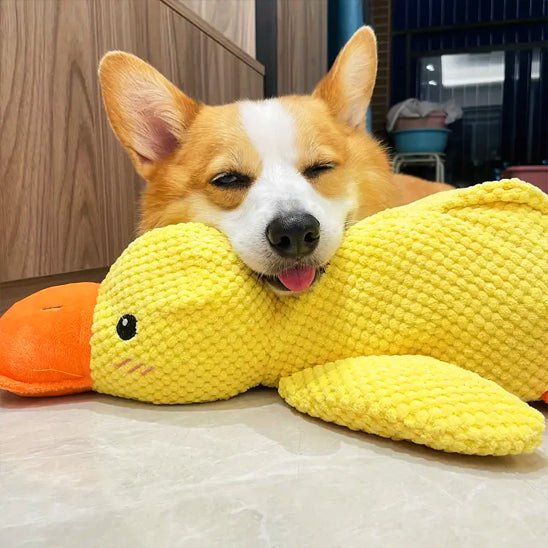 Peluche pour chien Anti - Stress | Canard Apaisant - Excursion Chien