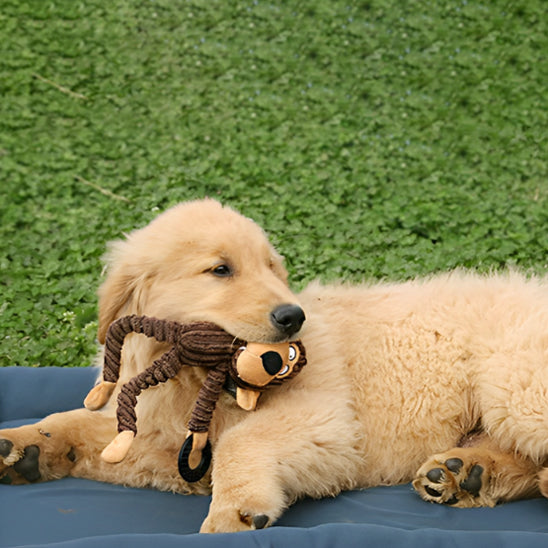 peluche pour chien anti stress en velours apaisant