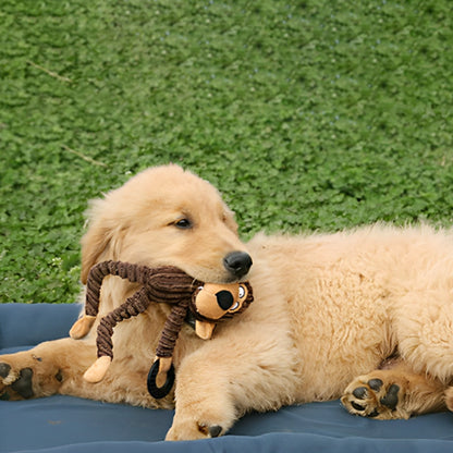 peluche pour chien anti stress en velours apaisant