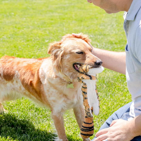 peluche Chien en forme de Lion interactive