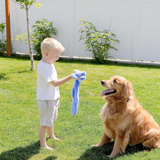 peluche chien Ludic et interactif