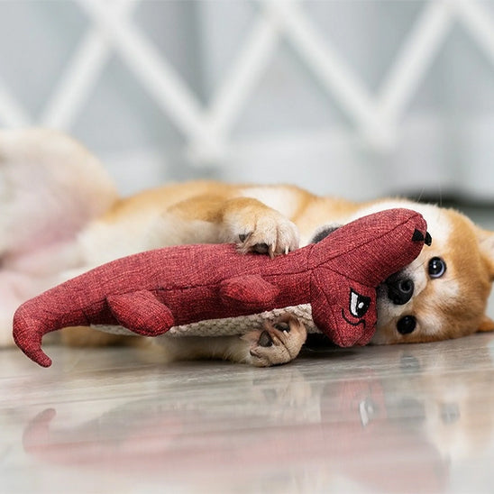 peluche chien qui stimule l'activité physique et mentale du Chien