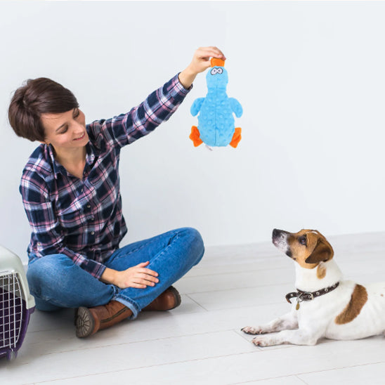 peluche chien qui éveille les sens de votre Chien