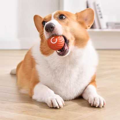 petite balle pour chien avec TPR medical