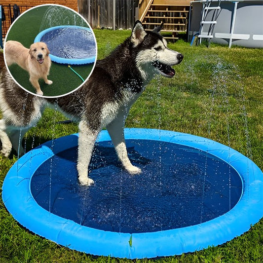 Piscine pour chien | Amusant
