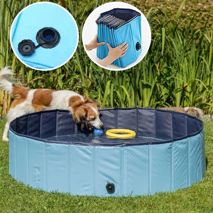 Piscine pour chien | Robuste